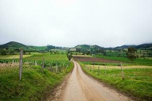 non pavé pays route entre le petit les villes de ventaquemada et tourmeque dans Colombie photo