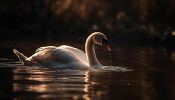 majestueux cygne glisse sur tranquille l'eau surface généré par ai photo