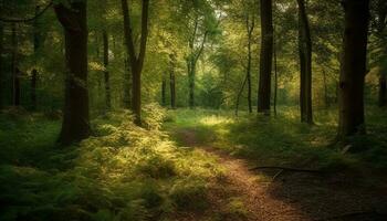 tranquille forêt sentier, vibrant l'automne feuilles croquer généré par ai photo