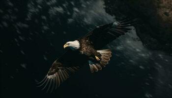 majestueux chauve Aigle planant dans milieu air liberté généré par ai photo