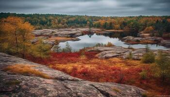 vibrant l'automne couleurs réfléchir sur tranquille étang l'eau généré par ai photo