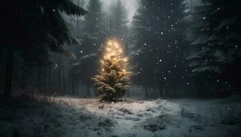illuminé pin arbre dans neigeux forêt nuit généré par ai photo