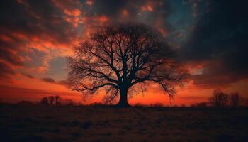 silhouette de acacia arbre à africain le coucher du soleil généré par ai photo