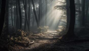 effrayant forêt mystère, l'automne feuilles, tranquille scène généré par ai photo