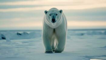 mignonne Arctique mammifère à la recherche à caméra sur la glace généré par ai photo