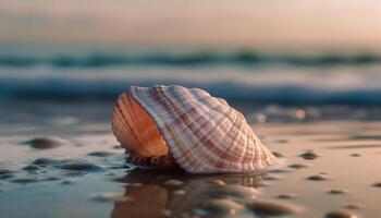 lever du soleil réflexion sur tranquille des eaux coquillage décoration généré par ai photo