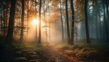 l'automne lumière du soleil illumine mystérieux forêt fantaisie scène généré par ai photo