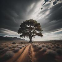 solitaire arbre dans le désert avec spectaculaire ciel et des nuages. génératif ai photo