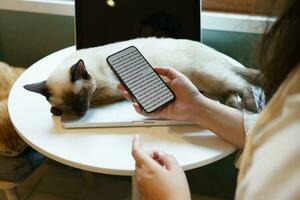 femme travail sur téléphone de Accueil avec chat. chat endormi sur le portable clavier. assistant chat travail à portable photo