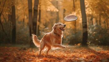 d'or retriever chiot en jouant dans l'automne forêt généré par ai photo