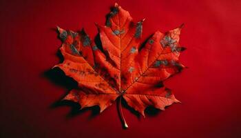 vibrant l'automne érable arbre feuilles dans proche en haut généré par ai photo