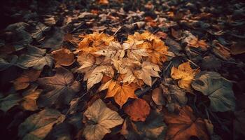 vibrant l'automne couleurs orner le forêt, une magnifique Naturel modèle généré par ai photo