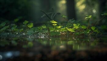 le vert feuille reflète dans le tranquille étang, Naturel beauté généré par ai photo