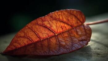 vibrant l'automne couleurs sur une érable arbre branche dans novembre généré par ai photo