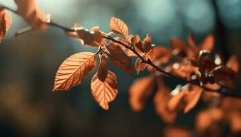 vibrant l'automne feuillage sur érable arbre, rétro-éclairé par lumière du soleil généré par ai photo