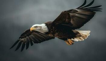 majestueux chauve aigle, symbole de américain culture, planant dans liberté généré par ai photo