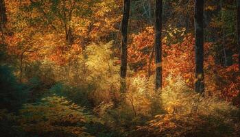 vibrant l'automne feuillage des peintures tranquille forêt paysage dans multi coloré beauté généré par ai photo