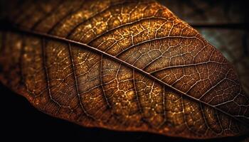 vibrant biologique croissance dans forêt, l'automne feuille veine modèle abstrait généré par ai photo