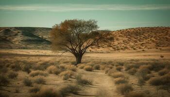 le tranquille savane à crépuscule, une beauté dans la nature généré par ai photo