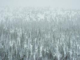 toxique hiver forêt sur une colline près le métallurgique plante dans Monchegorsk dans Russie photo