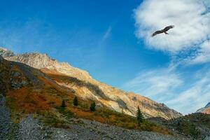 multicolore l'automne paysage avec ensoleillé Montagne avec Orange teinte. spectaculaire coloré vue à tranchant Montagne crête dans automne. hétéroclite Montagne paysage dans l'automne couleurs. photo