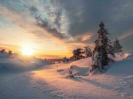 incroyable Aube paysage avec une hiver polaire forêt et brillant lumière du soleil. lever du soleil, le coucher du soleil dans une magnifique couvert de neige forêt. magnifique dur la nature de le Nord dans le hiver aube. lumière et obscurité. photo