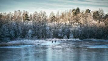 magnifique hiver journée avec la glace pêche. panorama de une hiver paysage avec une congelé Lac et blanc des arbres dans le gel photo