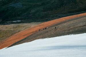 difficile montée à le Haut de le Montagne. touristes viens à Haut de neigeux colline. travail en équipe et la victoire, travail en équipe de gens dans difficile conditions. photo