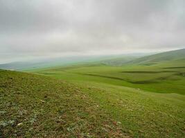 vert pâturage dans le distance contre le Contexte de pluvieux et brumeux collines. photo