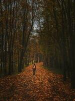 silhouette de une femme de le retour dans le foncé l'automne forêt. ancien teinté photo