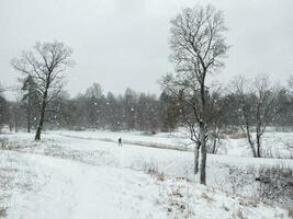 hiver parc. magnifique neige paysage avec le figure de une homme en marchant dans le parc photo