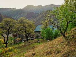 pittoresque vieux printemps jardin de le Montagne village. vieux village dans daghestan. rural pierre maison dans une village dans daghestan. Russie. photo