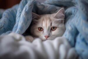 magnifique blanc chat mensonge sur le lit en dessous de une bleu plaid avec ai généré. photo