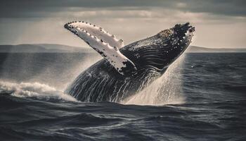 majestueux à bosse baleine infractions, éclabousser avec admiration généré par ai photo