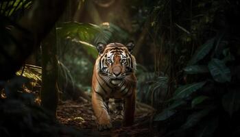 en danger Bengale tigre regarder dans tropical forêt tropicale généré par ai photo