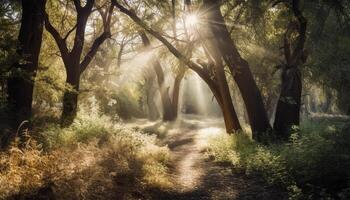 tranquille sentier tisse par brumeux l'automne forêt généré par ai photo