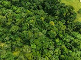 incroyable vue de magnifique la nature dans costa rica photo