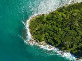 aérien des oiseaux œil vue photo pris par drone de tropical paysage marin et sablonneux plage avec turquoise clair des eaux et pin des arbres