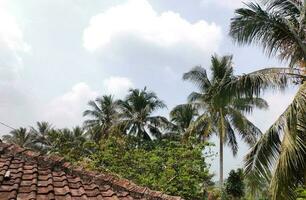 vue de le village avec ses village Maisons et certains noix de coco des arbres autour le loger, pendant le journée avec une magnifique nuage Contexte photo