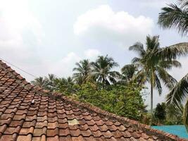 vue de le village avec ses village Maisons et certains noix de coco des arbres autour le loger, pendant le journée avec une magnifique nuage Contexte photo