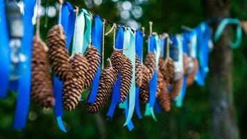 sapin cônes et bleu guirlandes pendu en plein air. photo