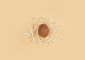 oeuf brun dans un nid décoratif sur fond beige photo