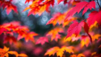 surréaliste l'automne dans Japon. ai généré. photo