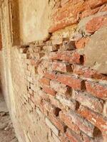 shahi fort magnifique mur, alamgir fort mur photo