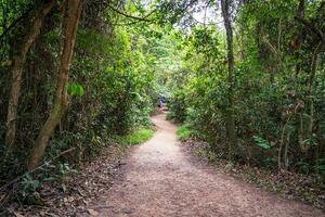 le cu chi tunnels. une guider démontrant Comment une vietcong cacher dans le tunnel. c'est utilisé dans vietnam guerre. célèbre touristique attraction dans vietnam. Stock photo