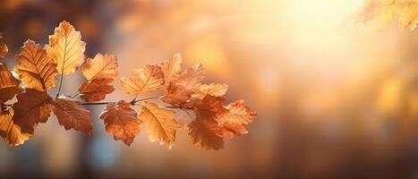 de fête l'automne et content action de grâces décor de citrouilles, baies et feuilles. ai généré. photo