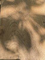 feuilles ombre Contexte sur en bois mur texture, feuilles arbre branches ombre photo