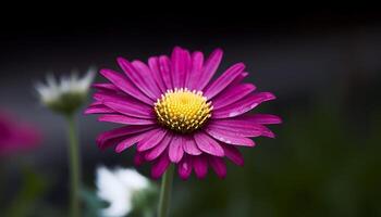 vibrant camomille plante fleurs dans inculte prairie, non gens présent généré par ai photo