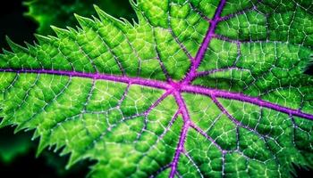 vibrant l'automne légume fractale avec rose veine symétrie et forme généré par ai photo