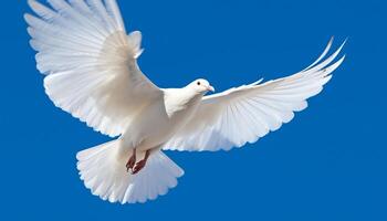 gracieux mouette glissement dans clair bleu ciel, symbole de paix généré par ai photo